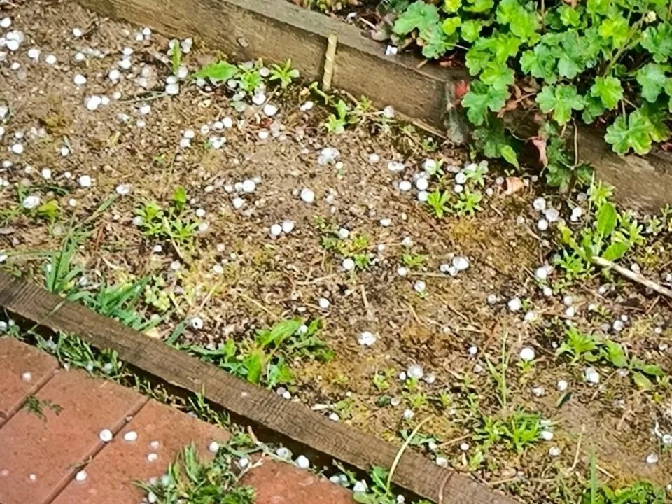 Фото: vk.com/Подслушано во Фрязино