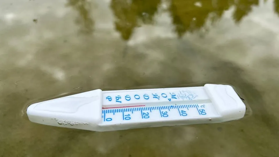 Фото: Елена Фурман