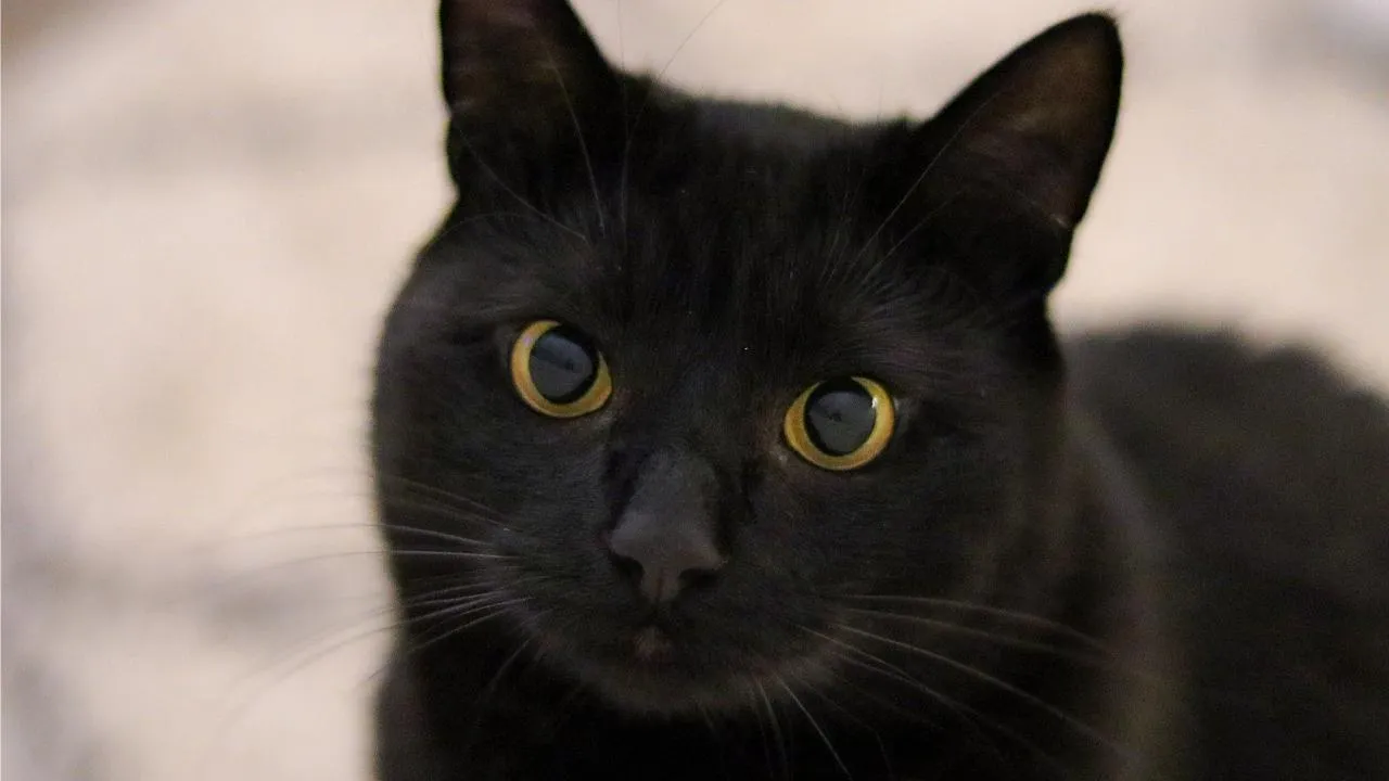 istockphoto.com/Marietta Menku