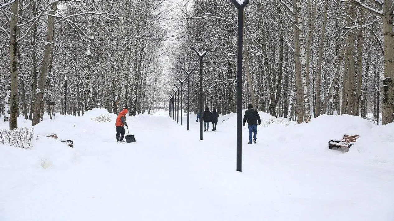 Фото: пресс-служба администрации г.о. Долгопрудный