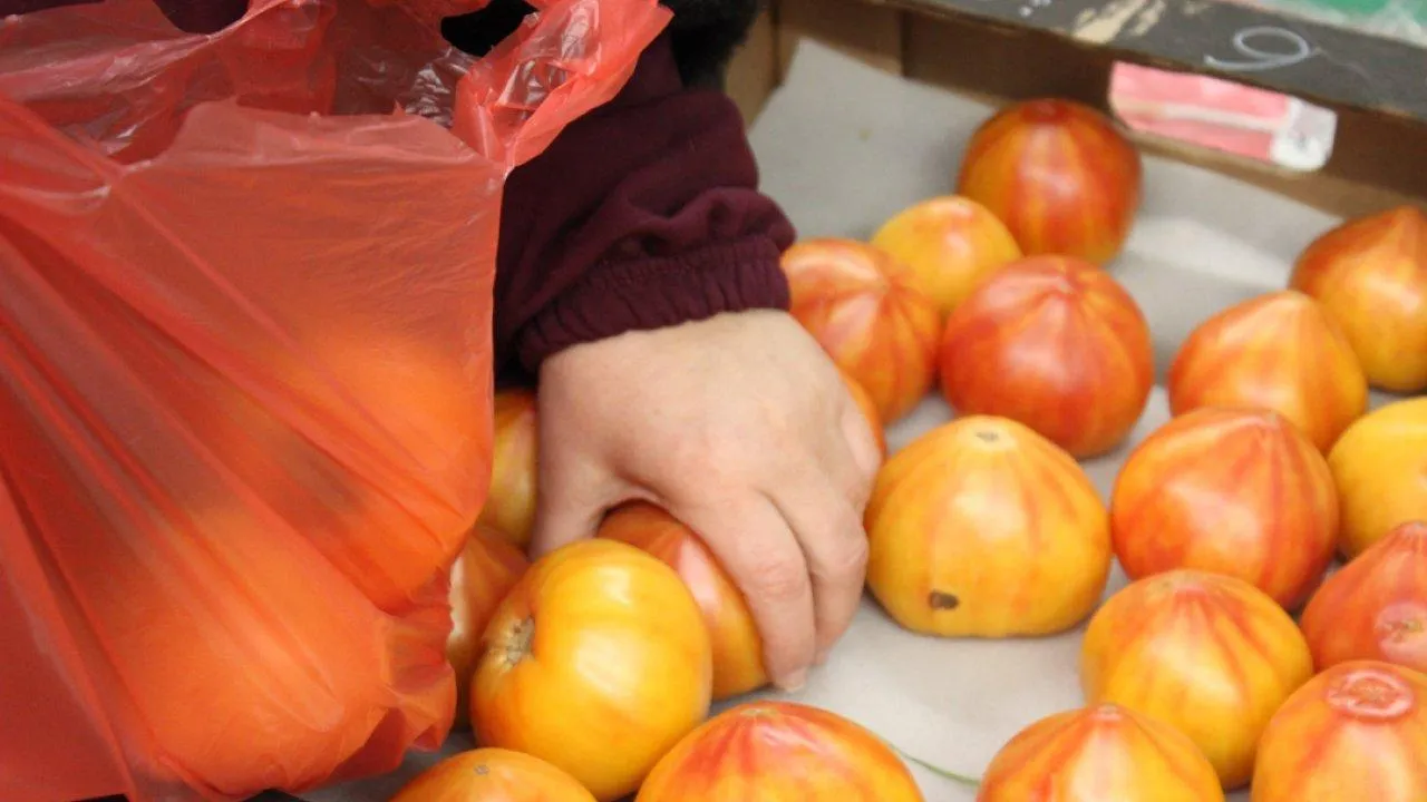 REGIONS/Анастасия Широкая