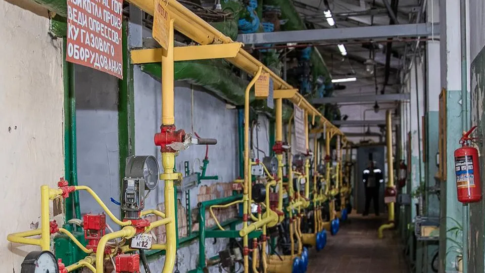 Фото: пресс-служба администрации Одинцовского городского округа