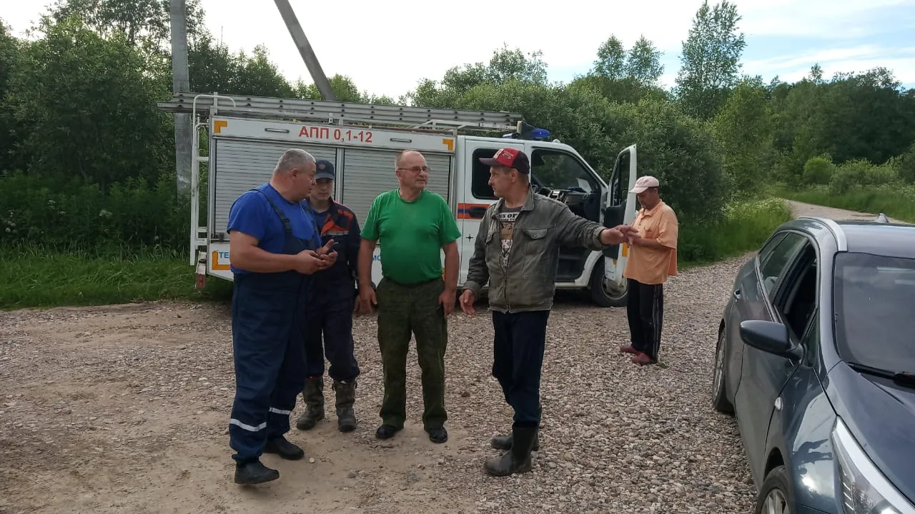 Фото: ВФ «Мособллес»