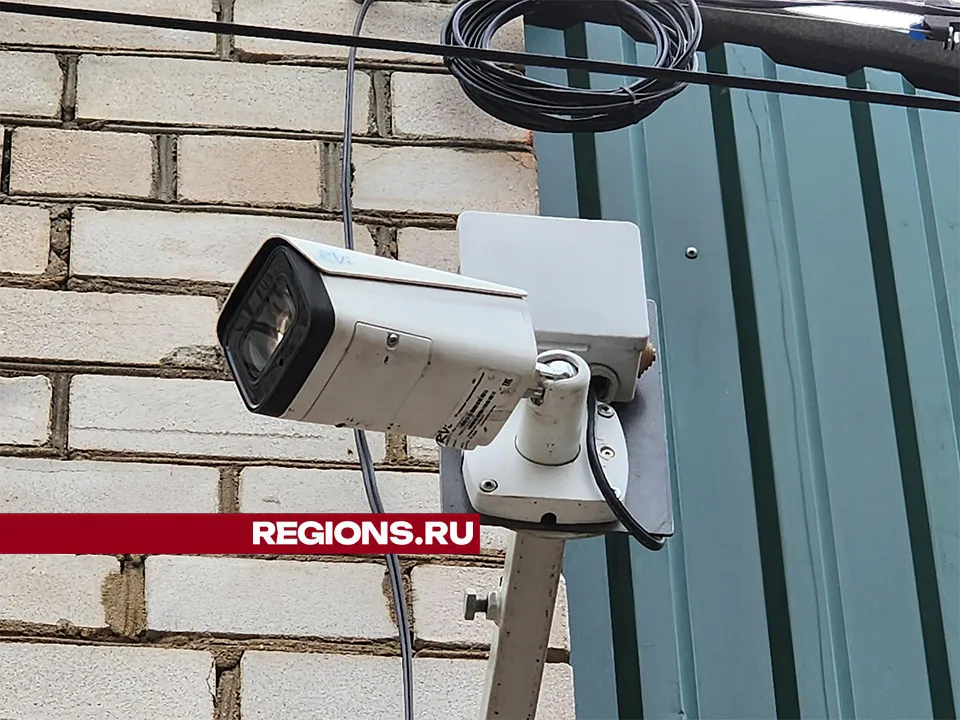 Фото: Роман Савельев