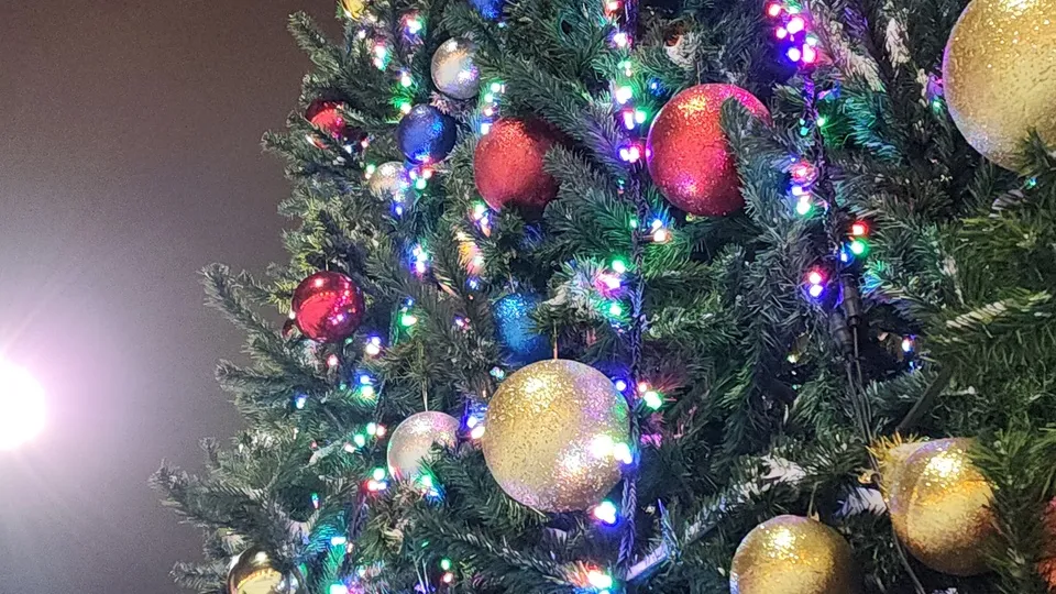 Фото: МедиаБанк Подмосковья/В. Соловьева