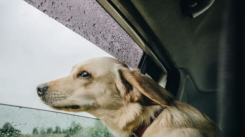 Фото: unsplash.com