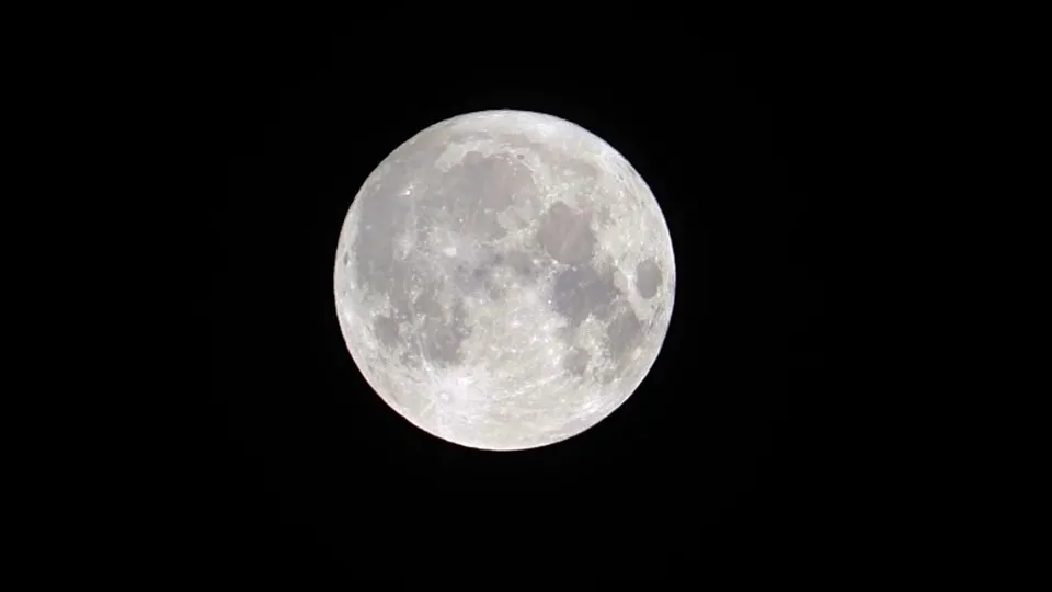 Фото: МедиаБанк Подмосковья/Евгения Корытько