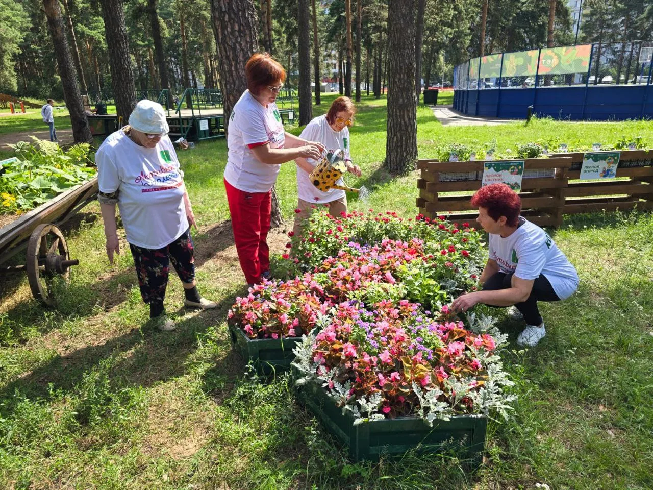 Фото: t.me/kuz_les