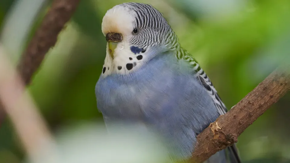 Фото: unsplash.com