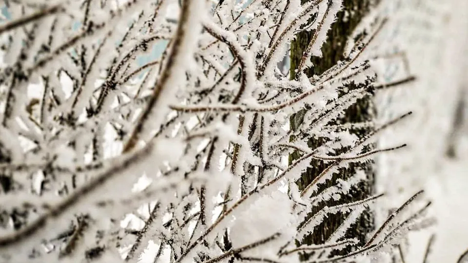 Фото: REGIONS/Роман Малышенко