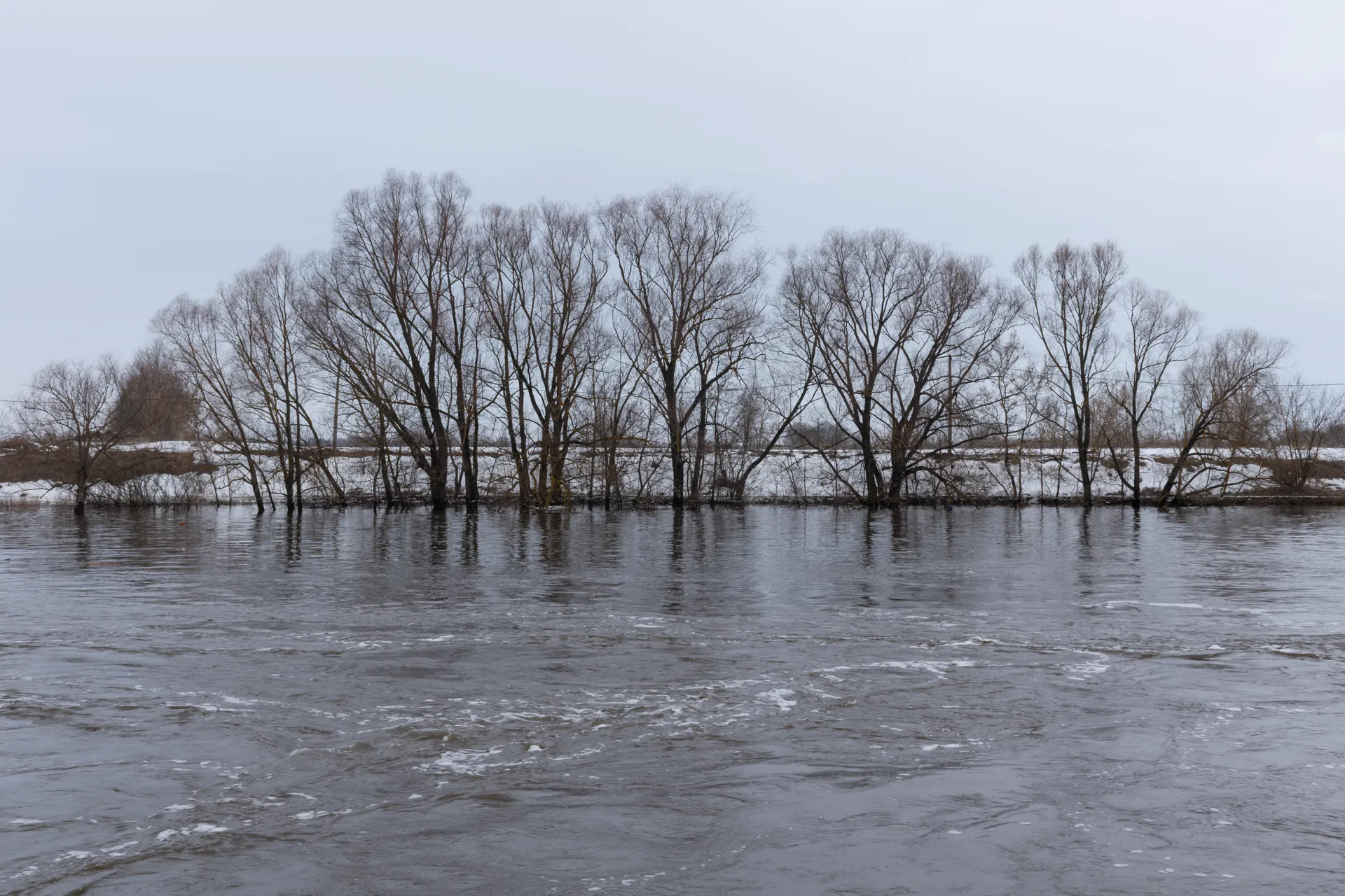 Фото: архив газеты «За новую жизнь»