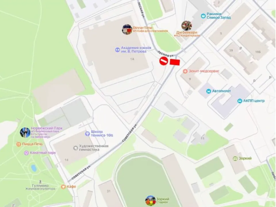 Фото: пресс-служба администрации г.о. Красногорск