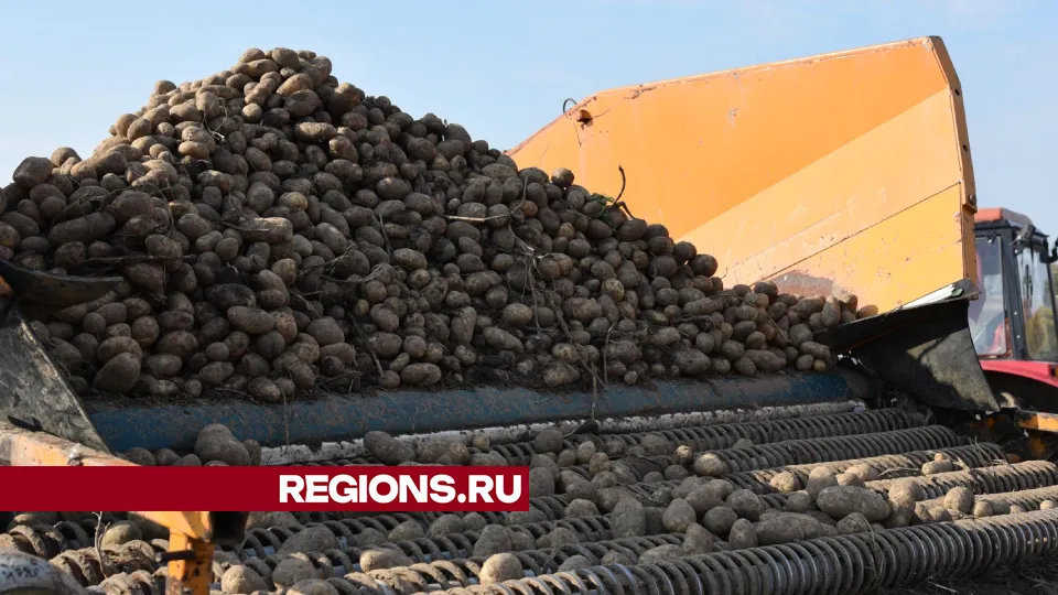 Фото: Владимир Останин