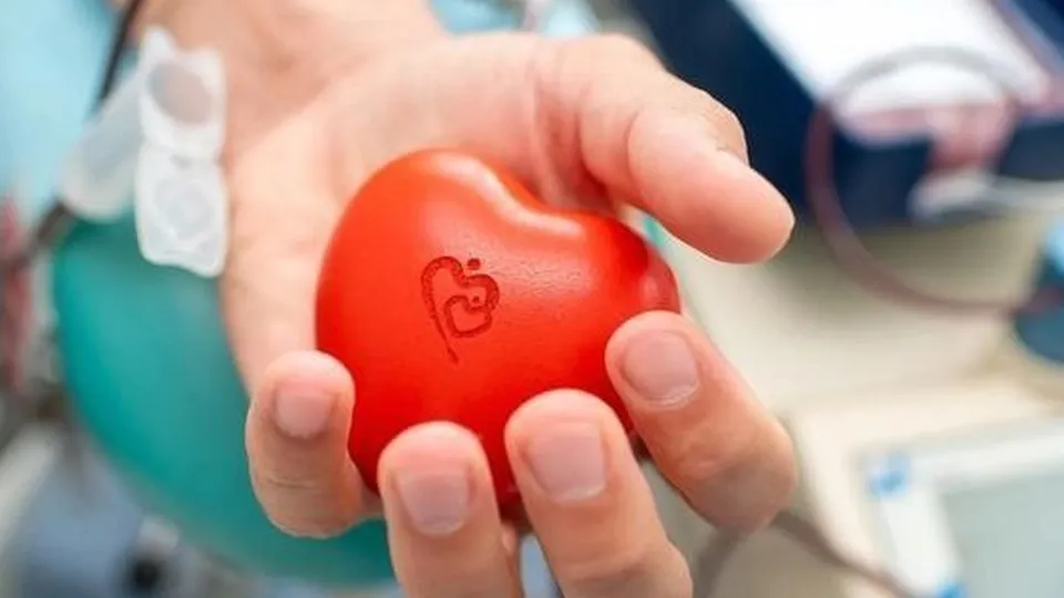 Фото: Домодедовская больница