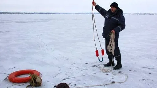 Фото: ГКУ Мособлпожспас Ступинское ТУ