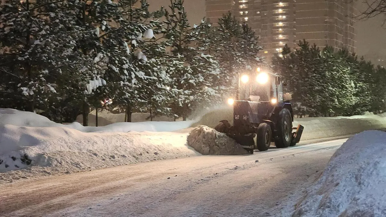 REGIONS/Валерия Тингаева