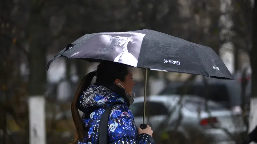 медиасток.рф