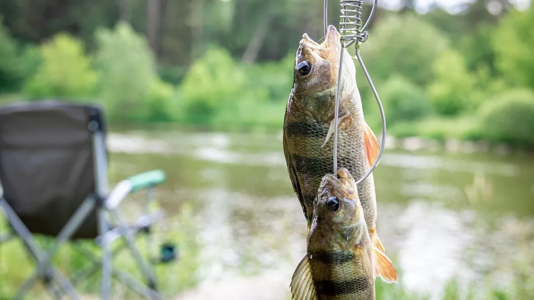 Фото: freepik.com