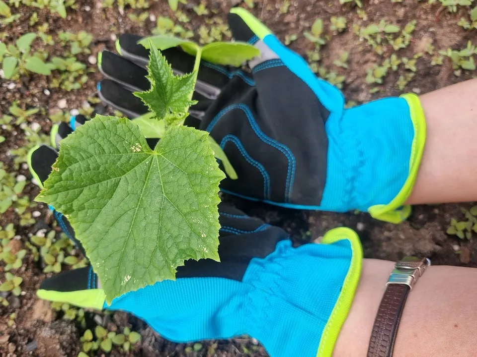 Фото: личный архив Ксении