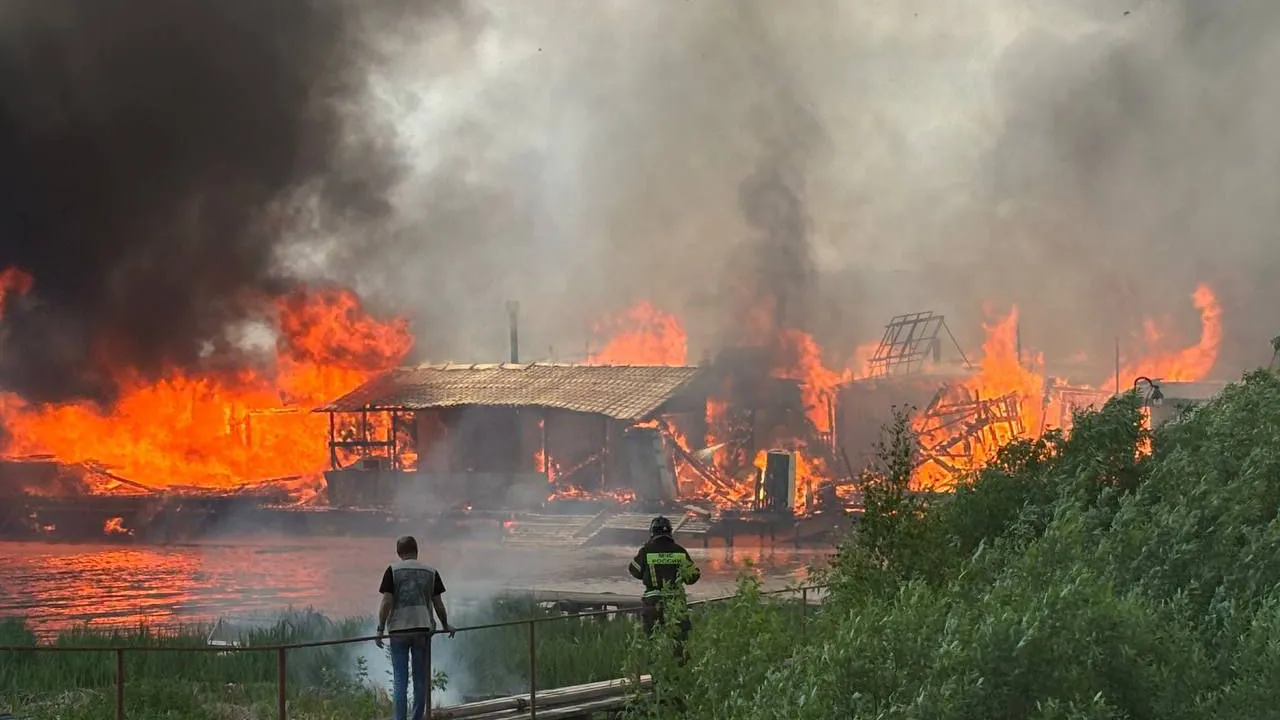 Фото: t.me/Дубна|Вести