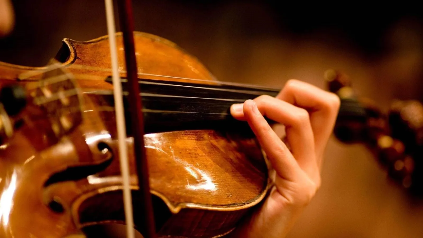 Фото: welcome.mosreg.ru