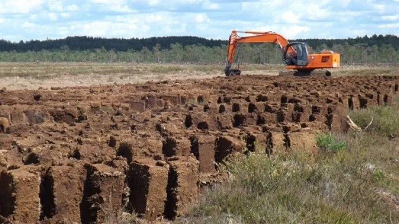 Предприятия и граждан в Подмосковье призвали к осторожности в период пожароопасной ситуации на торфяниках