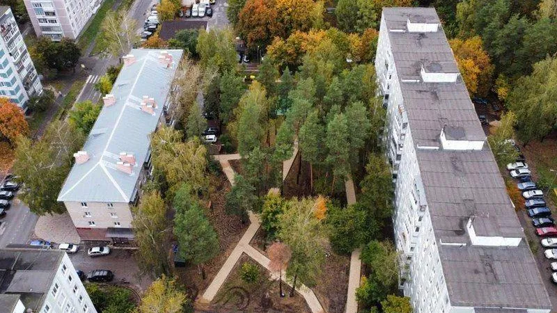 Фото: пресс-служба администрации г.о. Черноголовка