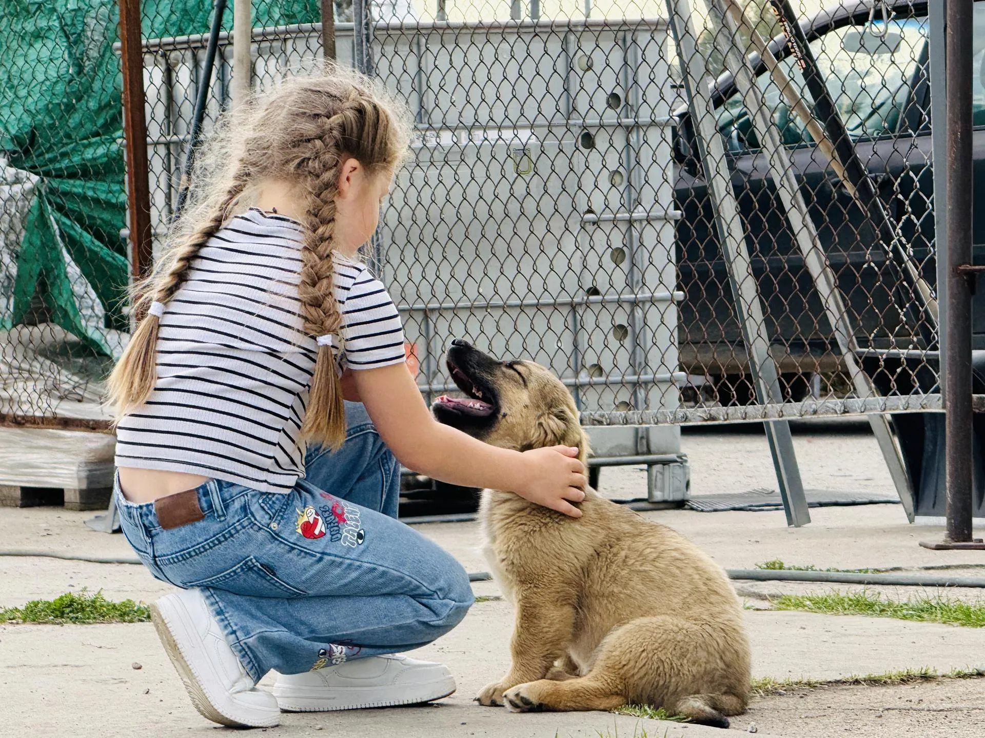 Фото: Медиабанк Подмосковья/Ольга Стаферова