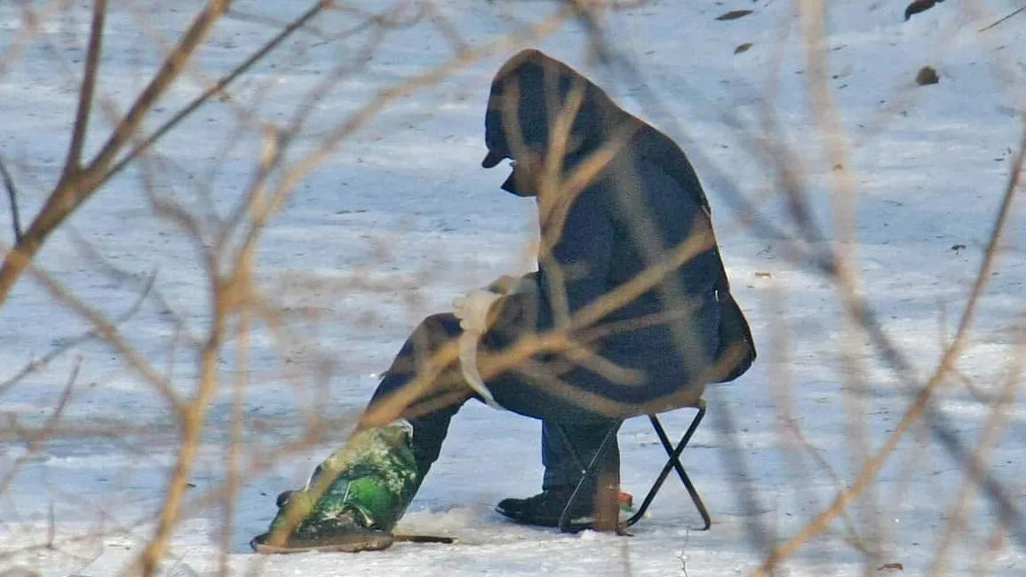 Фото: Дмитрий Кравцов