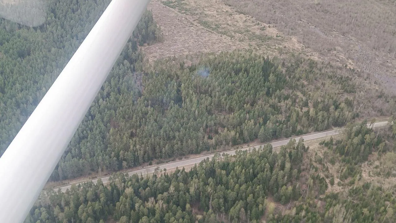 Фото: Комитет лесного хозяйства Московской области