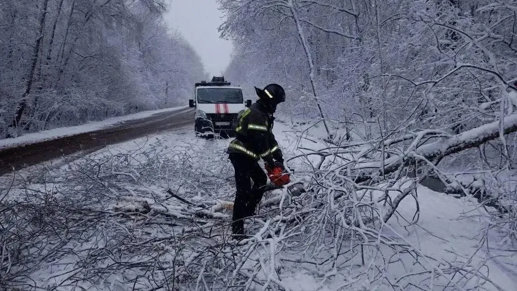Глава муниципального округа Чехов Михаил Собакин