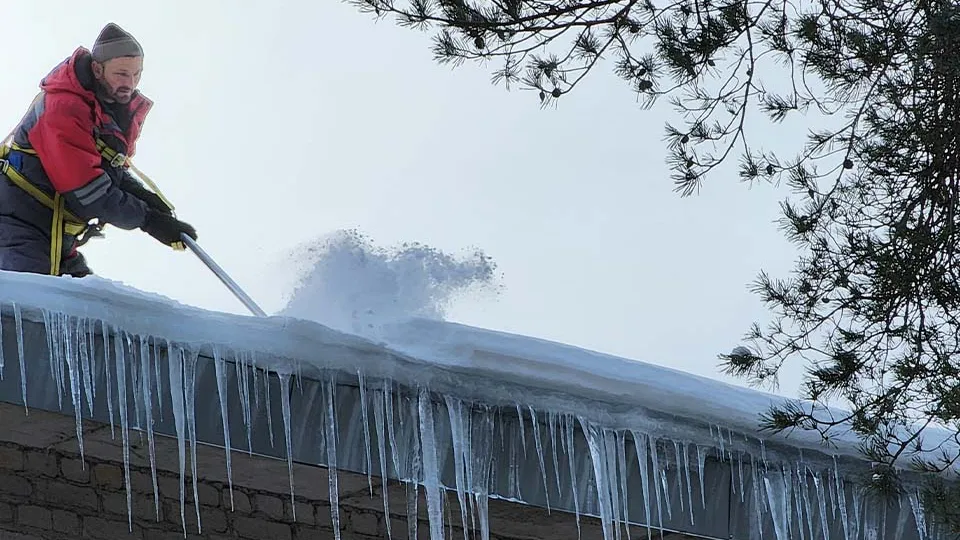 Фото: МедиаБанк Подмосковья/Анна Мороз