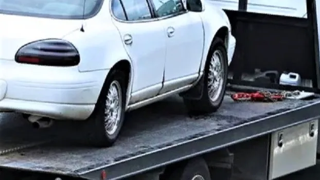 Фото: pxhere.com