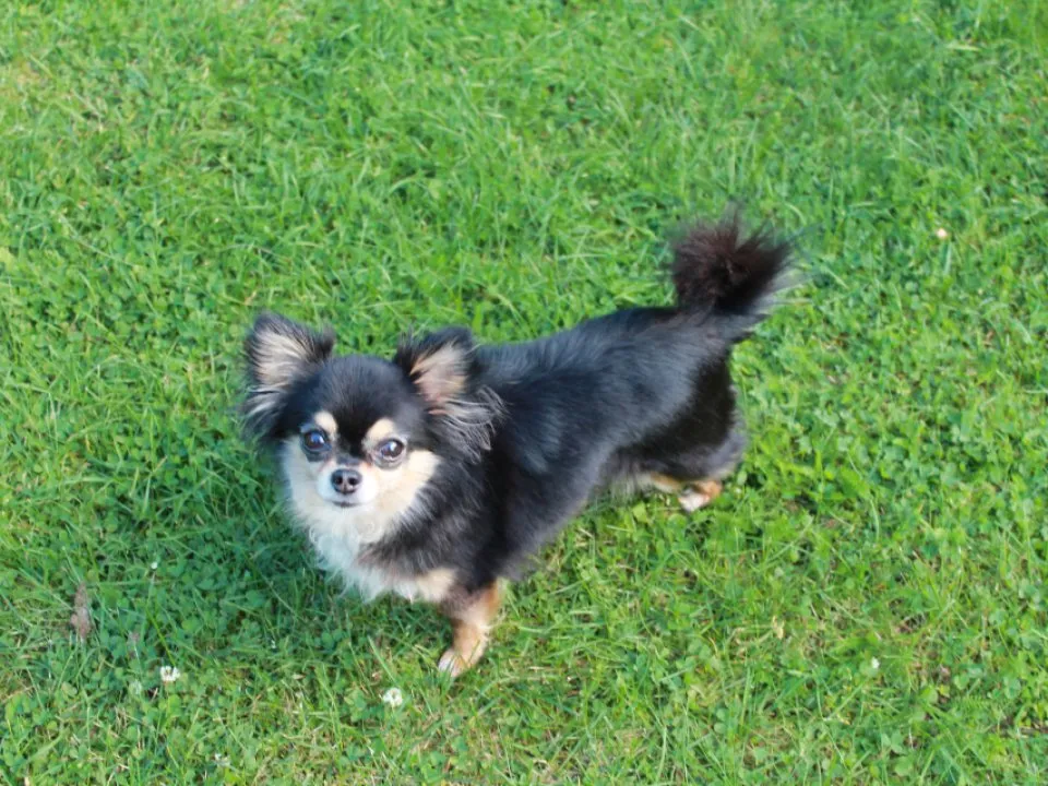 Фото: REGIONS/Илья Попов