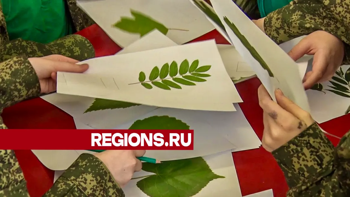 Слет. Фото: Данила Кирьянов