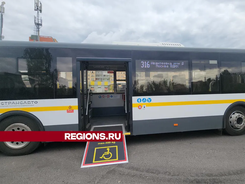 Фото: Ольга Шеметова