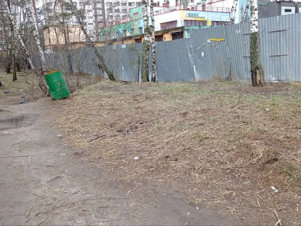 Фото: Кузьминский лесопарк&nbsp;