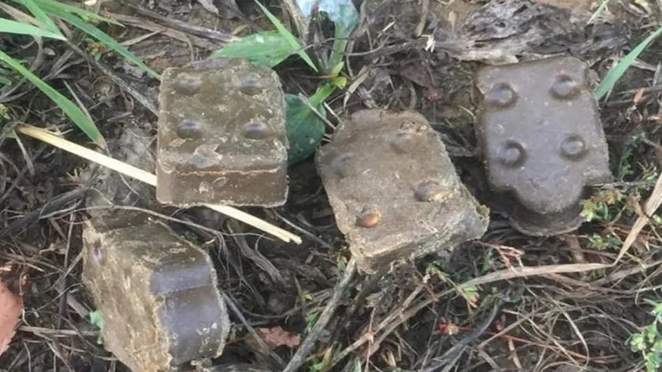 Фото: пресс-служба администрации г.о.Котельники