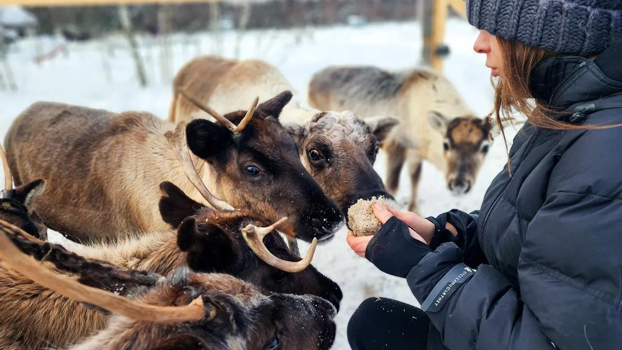 REGIONS/Мария Панина