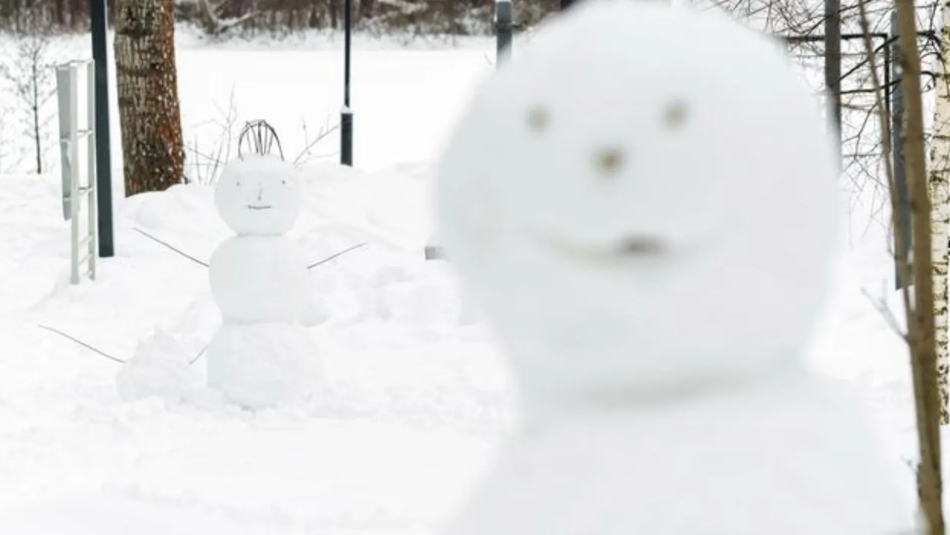 Фото: медиасток.рф