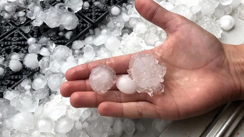 С куриное или голубиное яйцо? Жители Подмосковья померились градом