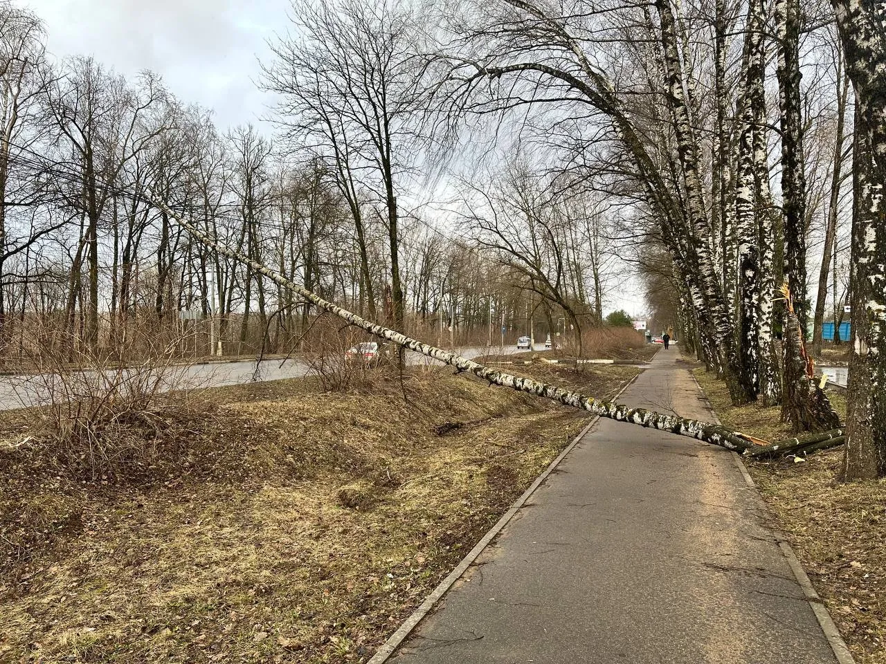 Фото: пресс-служба администрации г.о. Можайск