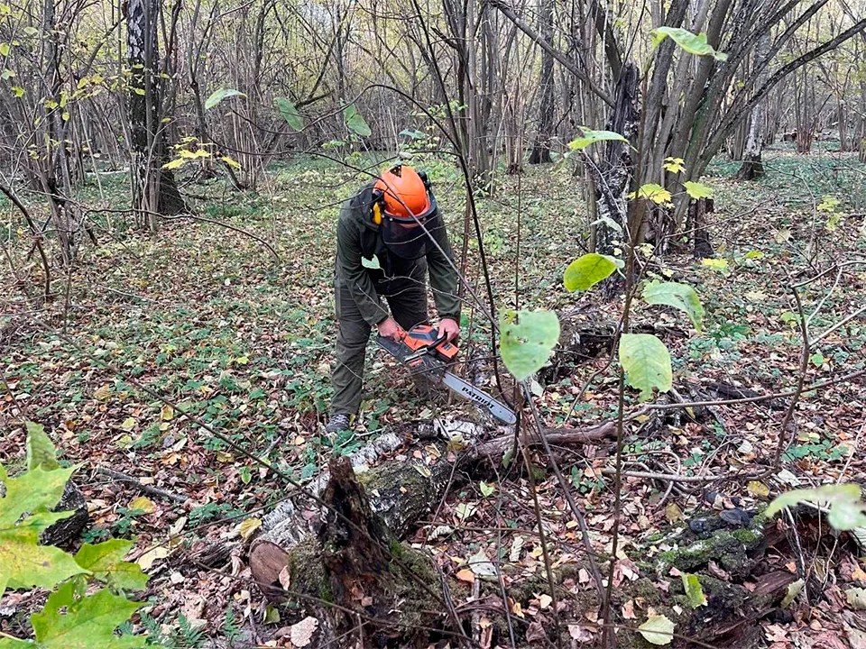 Фото: пресс-служба администрации городского округа Истра