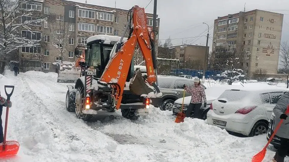 Фото: t.me/alekseevaovadm