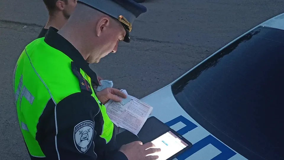 Фото: Медиаархив Подмосковья