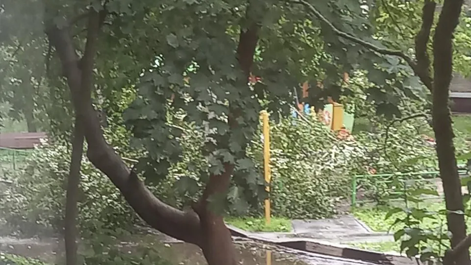 Фото: t.me/solnchat_1