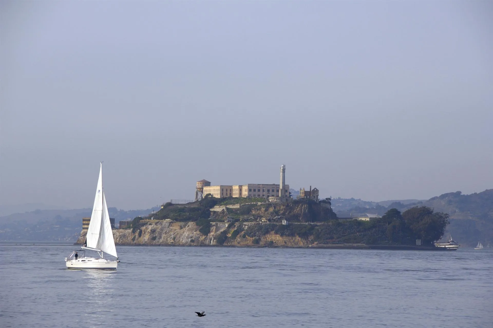 Cindy Miller Hopkins/Cindy Miller Hopkins / DanitaDel