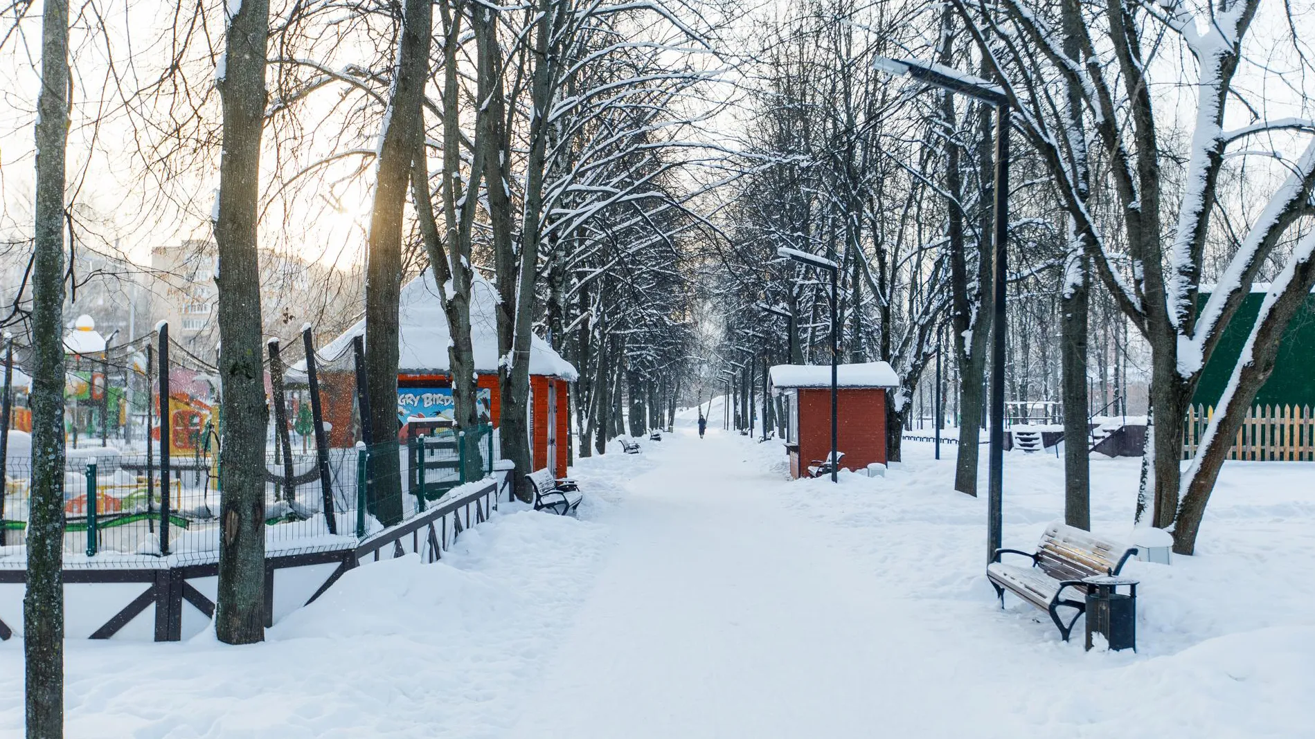Фото: Медиаархив Подмосковья
