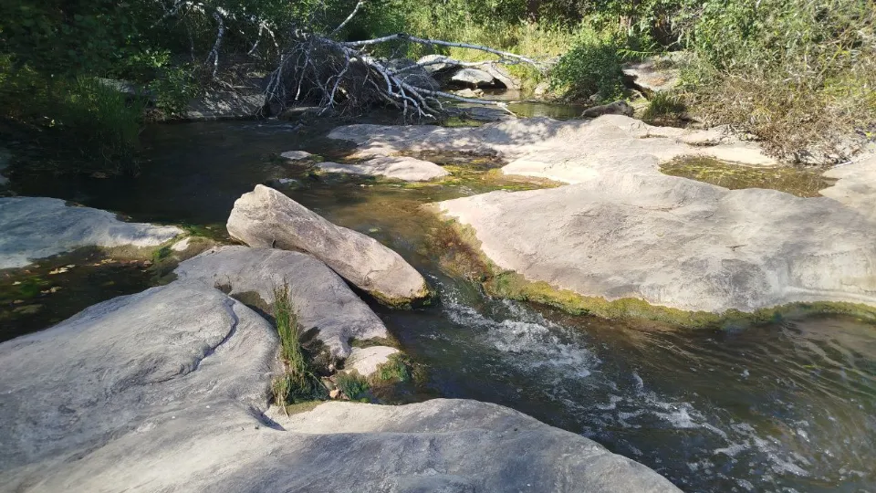 Фото: REGIONS/Юлия Куделькина