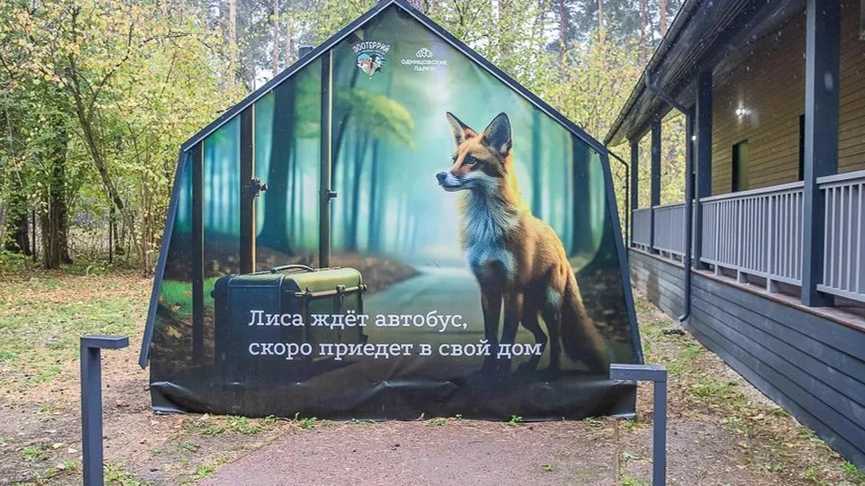 Фото: пресс-служба администрации Одинцовского городского округа